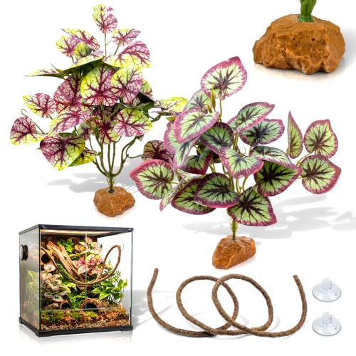 3 Pcs Reptile Terrarium Habitat Decor Kit – Realistic Artificial Reptile Plants with Hanging Vine, Resin Stone Base – Rainforest & Jungle Terrarium Setup for Gecko, Tree Frog & Amphibian Enclosure - color: Caladium Bicolor