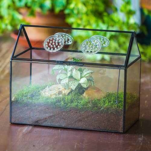NCYP Glass Terrarium with Lid and Air Holes for Snails - 10.2" x 5.9" x 8.2" House Shape Geometric Clear Terrarium, Indoor Tabletop Decor Black (Plants Not Included)
