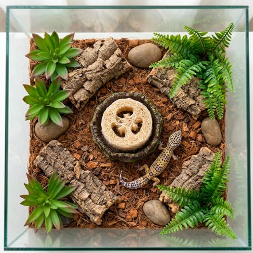 5Pcs Dubia Roach Container Set, Dubia Roach Habitat, Reptile Water Dish, Hydration Station for Isopods and Crickets