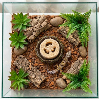 5Pcs Dubia Roach Container Set, Dubia Roach Habitat, Reptile Water Dish, Hydration Station for Isopods and Crickets