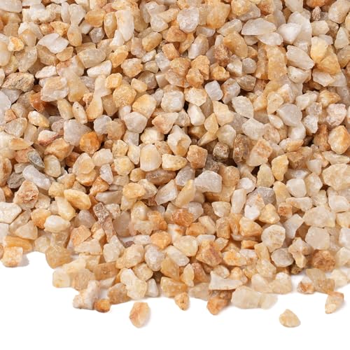 2.5 lbs Coarse Sand for Plants, 1/5 Inch Horticultural Sand for Vases, Aquariums, Terrarium, Fish Tank, Drainage Rocks for Potted Plants, Bamboo, Succulent, Crafts, Cactus - color: Gold Sand