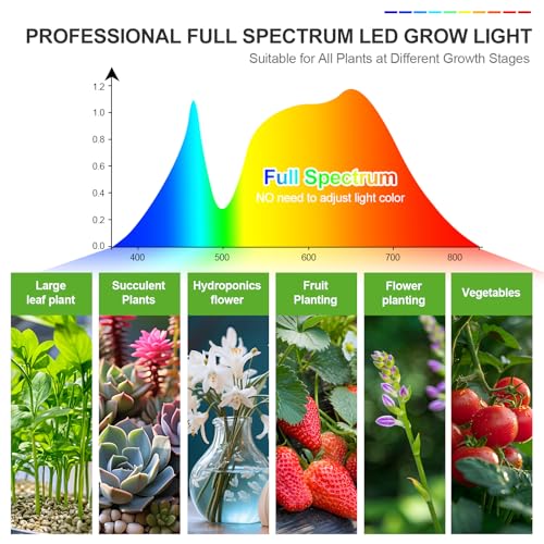 FECiDA 2026 3Head Table Top Grow Lights for Seed Starting, Indoor Plants, Bonsai, 27 Watt Power Draw, NO Need Adapter, 4/8/12/16/20H Timer, 16"-24" Height Adjustable - size: Desk-3Head-27W
