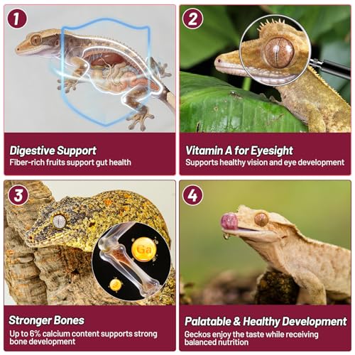 Gecko Food, Fruit Mix Fig and Insects Gecko Diet 2 oz