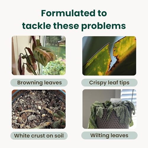 Tap Water Conditioner for Plants by The Green Alcove | Distilled Water Alternative for Senisitive Houseplants | Treats 310 gallons, Remove Chlorine, Chloramines & Heavy Metals, Buffers pH (16 fl oz)
