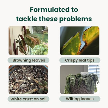 Tap Water Conditioner for Plants by The Green Alcove | Distilled Water Alternative for Senisitive Houseplants | Treats 310 gallons, Remove Chlorine, Chloramines & Heavy Metals, Buffers pH (16 fl oz)