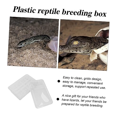 Angoily 20grids Practical Hatchery Box Incubator for Reptiles Transparent Incubation Container for Snakes Lizards and Turtles for Educational and Scientific Use