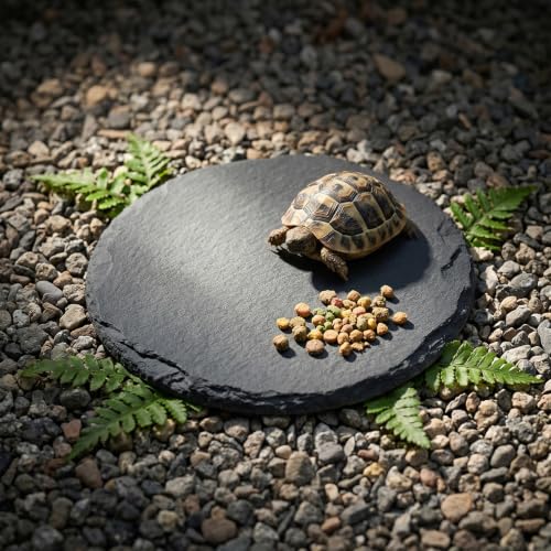 Turtle Basking Platform, 3.9 X 3.9 Inch Reptile Basking Platform | Tortoise Rock Plate Reptile Food Dish Landscape Habitat Decor for Gecko Lizard Bearded Dragon Turtle