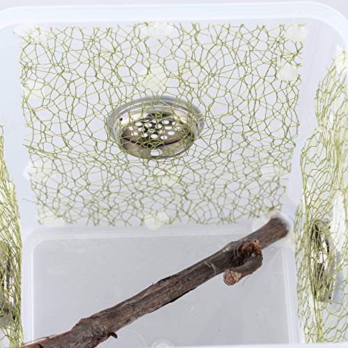 Ventilated Mantis Insect Habitat Kit, 6.2 x 6.2 x 7 in | 1.16 US Gal Bug Catcher Cage for Caterpillar, Cricket and Small Insects, Multi-Side Airflow, Animals Not Included