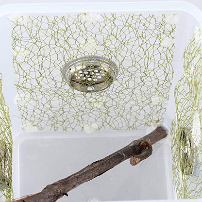 Ventilated Mantis Insect Habitat Kit, 6.2 x 6.2 x 7 in | 1.16 US Gal Bug Catcher Cage for Caterpillar, Cricket and Small Insects, Multi-Side Airflow, Animals Not Included