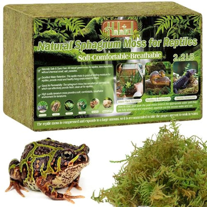 Halatool 2.2 LB Sphagnum Moss for Reptiles - Green Terrarium Moss | Expands to 50 QT, Reptile Bedding for Snakes, Tortoises, Geckos & Lizards, Humidity Retention & Temperature Buffering - size: 2.2LB