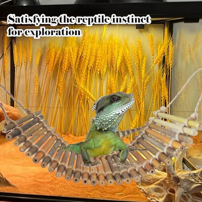 Reptile Bamboo Climbing Bridge,Lizard Ladder Hammock Bridge Bearded Dragon Hanging Bamboo Ladder Lounger Lizard Hammock Terrarium Vines Decor Reptile Habitat Tank Accessories for Chameleon Gecko - style: M【12.0 x 6.1 In】