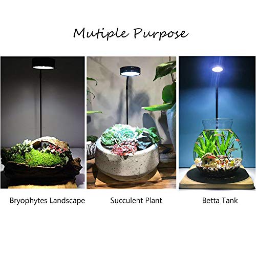 Full Spectrum LED Light with Bamboo Board, Fits Aquarium Nano Tank, Betta Fish Tank, Potted Plants, Succulents, Miniature Landscape – 5W - size: 5W