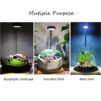 Full Spectrum LED Light with Bamboo Board, Fits Aquarium Nano Tank, Betta Fish Tank, Potted Plants, Succulents, Miniature Landscape – 9W - size: 9W