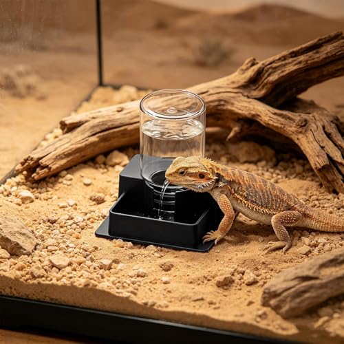 Bearded Dragon Water Bowl, Self Dispensing Fountain for Terrarium with Constant Supply, Reservoir Basin Unit, Home Garden Yard Outdoor Habitat Decor for Chameleon Iguana Frog Medium - size: M1