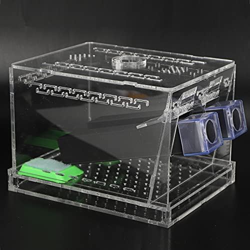 SUNGOOYUE Acrylic Feeding Cricket Keeper, Cricket Care Kit with Feces Layer and Food Feeding Tub, Box for Reptile Terrarium, Breeding Observation for Reptile Owners (Large 52x5cm) - size: Large 52x5cm