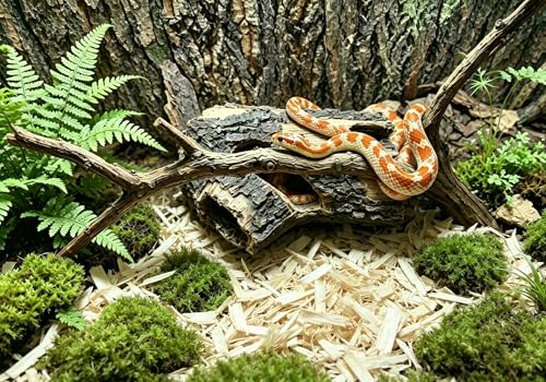 Beard Dragon,Lizard and Reptile Hide,Fish Tank Accessories Hides,Aquarium Decor for Betta Fish,Shrimp,Hermit Crabs,Spiders,Mice,Leopard Geckos,Toads and Frogs (Brown, m) - size: m