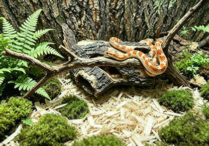 Beard Dragon,Lizard and Reptile Hide,Fish Tank Accessories Hides,Aquarium Decor for Betta Fish,Shrimp,Hermit Crabs,Spiders,Mice,Leopard Geckos,Toads and Frogs (Brown, m) - size: m