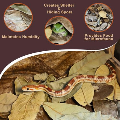 Dry Oak Leaf Litter for Reptiles,40Pcs Oak,60Pcs Longan & 20PCS Indian Almond Leaves,Leaf Litter Isopods Live Substrate Terrarium Bedding for Turtle,Snakes,Frogs,Isopod,Spider, Cricket