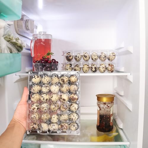 100 Pack Quail Egg Cartons, Clear Plastic Quail Egg Trays, Holds up to 30 Quail Eggs Securely - Your Ultimate Small Eggs Carton Holders for Bulk Storage and Display by KUKLIPJIM - size: 100 Pack Quail Egg Cartons 30 Grids