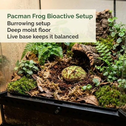 Pacman Frog Bioactive Kit - 9qt Premium Bioactive Substrate + 2qt Leaf Litter + 4qt Sphagnum + Charcoal Iso-Flats Hide + 3oz Calcium + 25 Dwarf White Isopods + 8oz Tropical Springtails