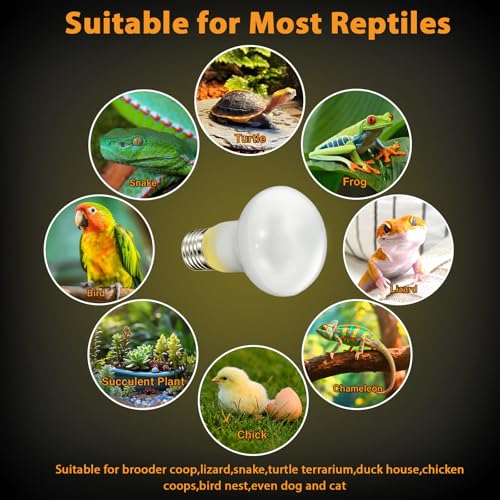 50W Reptile Heat Lamp Bulbs, 2Pack Heat Lamp Bulbs for Reptiles Basking Bulbs UVA Daylight Basking Light Amphibians Heating Lamp Emitter for Lizard, Turtle, Bearded Dragon, Snake, Gecko, Chicken