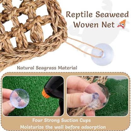 Hermit Crab Climbing Toys,Lizard Seagrass Mat,Hermit Crab Hammock with Suction Cups,Hermit Crab Supplies Decor Habitat,Small Reptile Tank Accessories for Guinea Pigs Hamsters Geckos (Square) - size: Square