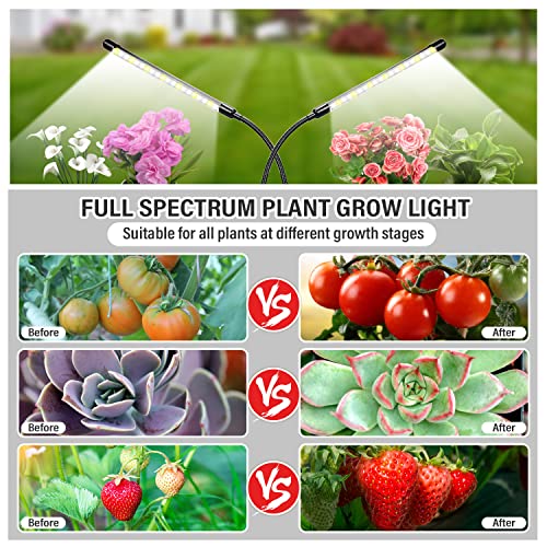 bseah Plant Grow Light for Indoor Plants, Full Spectrum Indoor Grow Light, 10-Level Dimmable and Auto ON & Off Timer (2 Head 2 Pack) - style: 2 Tubes 2 Pack