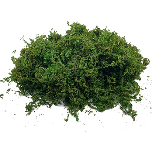 Artificial Dried Forest Moss Fake Moss Preserved Green Moss for Potted Plant Orchid Potting Mix Sphagnum Peat Moss Pole Craft Arts Floral Wedding Decor Centerpiece Fairy Garden Decoration 3.5oz