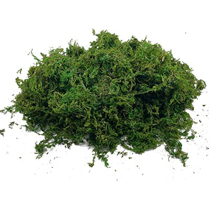 Artificial Dried Forest Moss Fake Moss Preserved Green Moss for Potted Plant Orchid Potting Mix Sphagnum Peat Moss Pole Craft Arts Floral Wedding Decor Centerpiece Fairy Garden Decoration 3.5oz