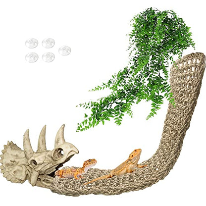 Tfwadmx Large Reptile Dinosaur Skull Decor, Bearded Dragon Tank Accessories, Lizard Hammock Hanging Plant Decor, Tank Decor for Bearded Dragons, Lizards, Chameleons, Geckos, Snakes(3Pcs)