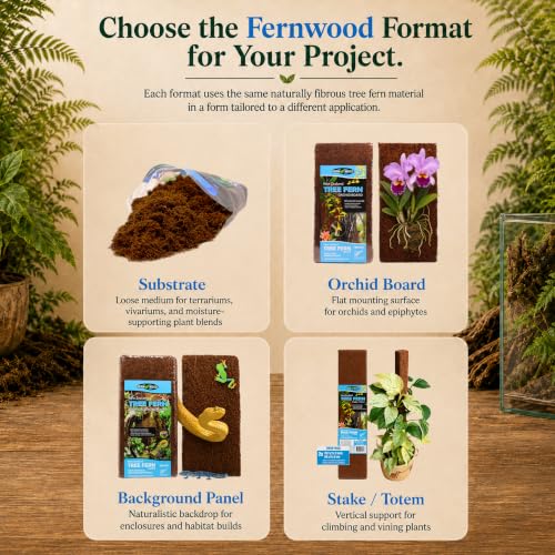 Fernwood - Vivarium and Terrarium Background Panels - 2 Pack - 18x6x.06 | Backdrop For Reptile, Amphibian, and Botanical Tanks - Made from New Zealand Tree Fern - Natural and Fibrous - size: Long 18x6x.06