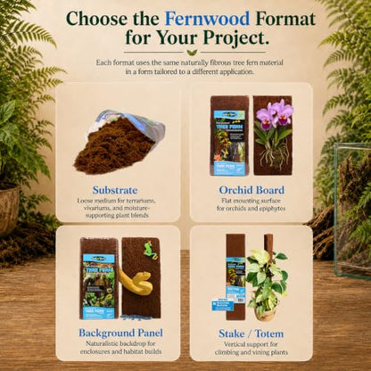Fernwood - Vivarium and Terrarium Background Panels - 2 Pack - 18x6x.06 | Backdrop For Reptile, Amphibian, and Botanical Tanks - Made from New Zealand Tree Fern - Natural and Fibrous - size: Long 18x6x.06