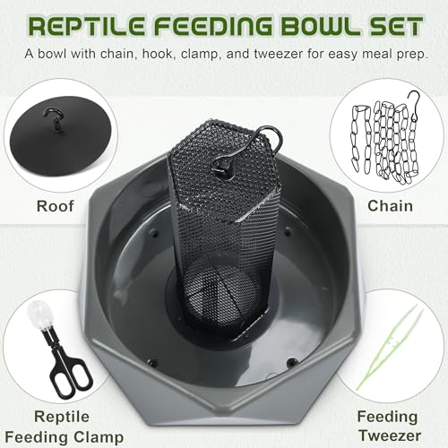 Chameleon Feeding Bowl, Hanging Insect Feeder with a Pillar for Prey to Climb Up, Suitable for Chameleon, Bearded Dragon, Lizard, Iguana, Gecko(Green) - color: Green