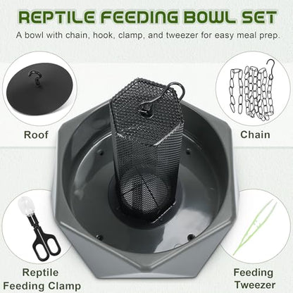 Chameleon Feeding Bowl, Hanging Insect Feeder with a Pillar for Prey to Climb Up, Suitable for Chameleon, Bearded Dragon, Lizard, Iguana, Gecko(Green) - color: Green