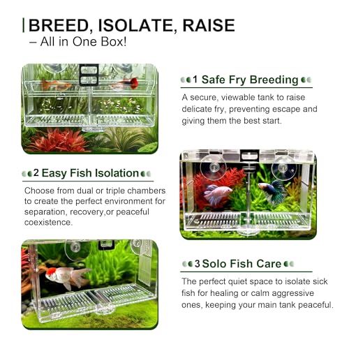 Triple-Chamber Aquarium Fish Breeder & Isolation Box, Transparent Hatching Incubator Tank with Suction Cups & Hook, Nursery for Livebearer Guppy Fry Breeding and Betta Fish, Shrimp Quarantine - size: Triple-Chamber (10.23*3.62*4.33 IN)