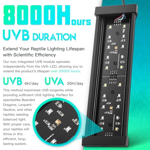 Dimmable LED Reptile UVB Lamp, 8000 Hours UVB Duration for Much Longer Lifespan, Adjustable 4/8/12-Hour Cycles, Suitable for Gecko, Chameleon, and Bearded Dragon, 8W, M Size - size: 8INCH