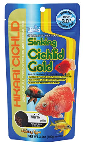 Hikari 3.5-Ounce Sinking Cichlid Gold Pellets for Pets, Mini - color: Black, size: 3.5 Ounce (Pack of 1)