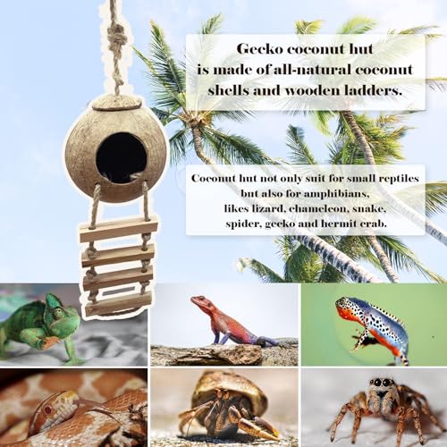 Crested Gecko Tank Accessories,Gecko Coconut Hut Hideout with Ladder Reptile Hammock Lizards Hanging Plants Flexible Climbing Jungle Vine Leaves Terrarium Decor - style: 【Style B】