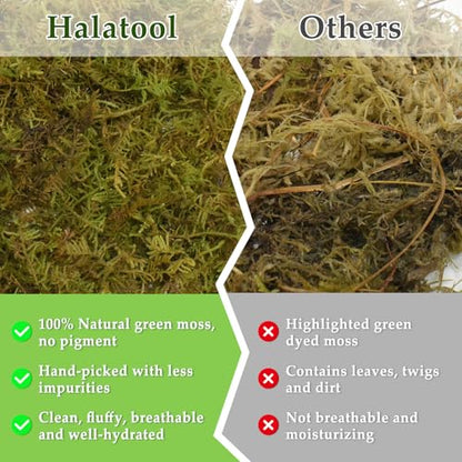 Halatool 12 OZ Sphagnum Moss for Reptiles - Green Terrarium Moss | Expands to 18 QT, Reptile Bedding for Snakes, Tortoises, Geckos & Lizards, Humidity Retention & Temperature Buffering - size: 12OZ