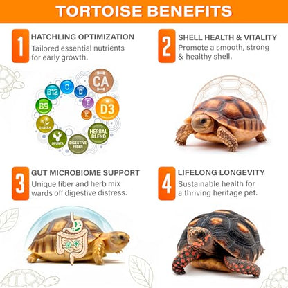 3oz Tortoise Juvenile Growth Support Supplement | Made in USA | Specially formulated for tortoises up to 18 months! Bioavailable chelated minerals, D3 & flaxseed for healthy growth