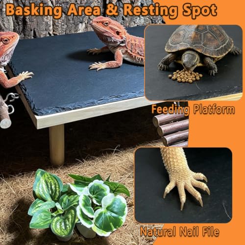 Bearded Dragon Basking Platform with Climbing Ramp,Reptile Basking Rock,XXL | Wooden Lizard Resting Platform Basking Rock Slate,Leopard Gecko Hide Cave Tank Accessories for Tortoise Snake - size: XXL: 15.75" x 7.87"x 4.56"