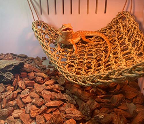 Tfwadmx 2 Pack Bearded Dragon Hammock, Reptile Climbing Decor, Lizard Lounger 100% Natural Seagrass Fabric Hammock for Reptiles, Geckos, Anoles, Iguanas, Hermit Crabs, Triangular - size: 12x8In