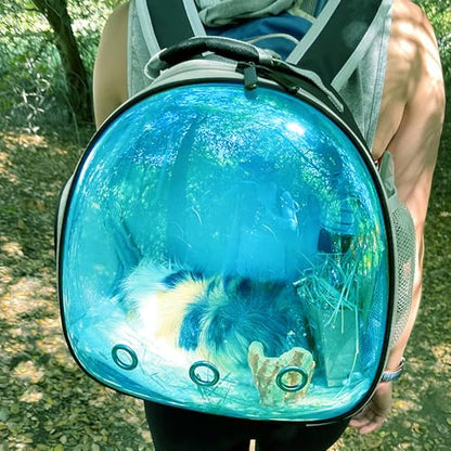 Guinea Pig Carrier, Guinea Pig Backpack with Clear Bubble Window (Black-Blue, Backpack) - color: Black-Blue