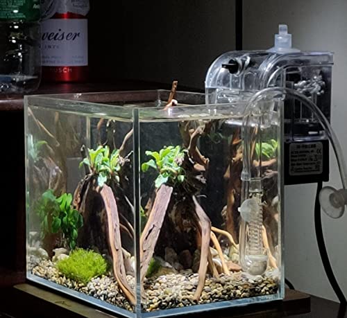 AWXZOM Small Nano Rimless Tank, Clear Glass Fish Tank, 1.1 Gallon, 7.8x5.5x5.9inch/20x14x15cm, Betta Fish Tank - size: 1.1Gallon 7.8x5.5x5.9inch/20x14x15cm