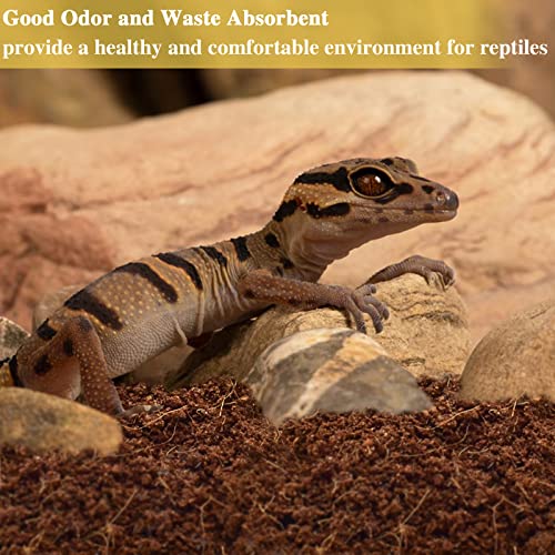 6 Pack Coconut Fiber Substrate, Premium Coco Coir Reptile Substrate | 100% Coconut Husk Terrarium Bedding for Reptiles, Tortoise, Bearded Dragon, Gecko, Snake, Hermit Crabs, Frogs, Tarantula - color: 6pcs