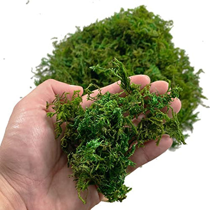 Artificial Dried Forest Moss Fake Moss Preserved Green Moss for Potted Plant Orchid Potting Mix Sphagnum Peat Moss Pole Craft Arts Floral Wedding Decor Centerpiece Fairy Garden Decoration 3.5oz