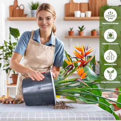 Organic Bird of Paradise Potting Soil Mix 1qt, Ideal for Indoor/Outdoor Potted Plants, Promotes Optimal Growth for Bird of Paradise - size: 1qt