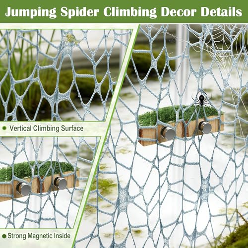 Jumping Spider Habitat Décor Jumping Spider Enclosure Accessory | 2PCS Spider Web, 1 Piece Faux Grass, 2PCS Natural Wood Ledge, 4PCS Strong Magnet for Small Reptile Enclosures