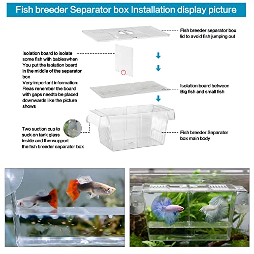 Fish Egg Incubator and Tumbler: Aquarium Cichlid Hatchery with Inbuilt Air Pump - Isolation Breeding Box, Small Fish Net and Tweezer
