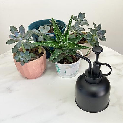 Stainless Steel Plant Sprayer, Small Watering Can, Modern Gardening Tool for Indoor Potted Plants - color: 10oz/matte black